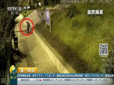 [视频]贵州镇宁：小偷一心想发财 专偷彩票店