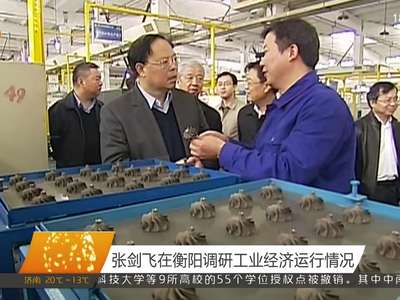 张剑飞在衡阳调研工业经济运行情况