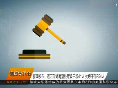 新闻发布：近五年湖南查处厅级干部41人 处级干部354人