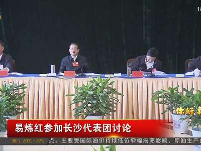 易炼红参加长沙代表团讨论