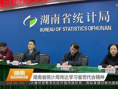 湖南省统计局传达学习省党代会精神