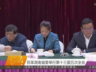 民革湖南省委举行第十三届五次全会