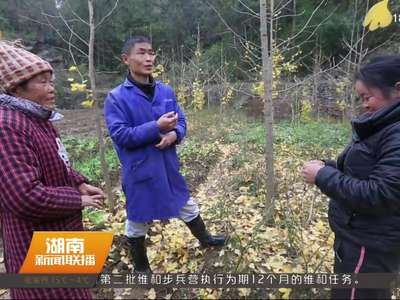 武陵源区脱贫攻坚纪实（3）：瞄准“特困群众这块最短的木板”发力