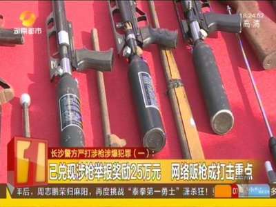 长沙今年侦破186起涉枪涉爆案 抓获578人