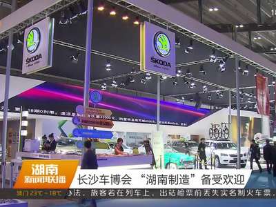 长沙车博会 “湖南制造”备受欢迎