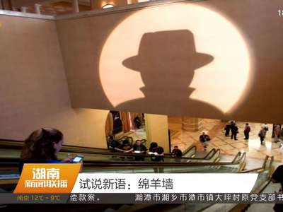 试说新语：绵羊墙