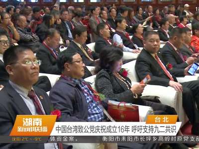 中国台湾致公党庆祝成立16年 呼吁支持九二共识