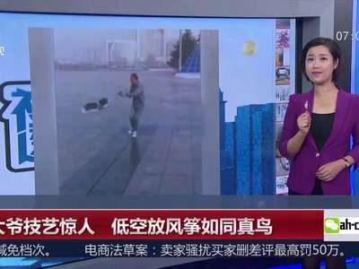 [视频]老大爷技艺惊人 低空放风筝如同真鸟