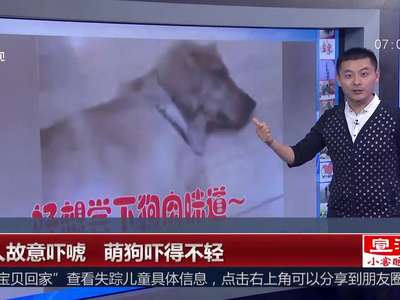 [视频]主人故意吓唬 萌狗吓得不轻