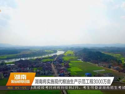 湖南将实施现代粮油生产示范工程3000万亩