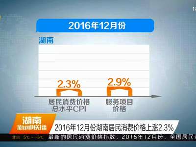 2016年12月份湖南居民消费价格上涨2.3%