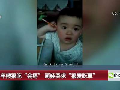 [视频]担心羊被狼吃“会疼” 萌娃哭求“狼爱吃草”