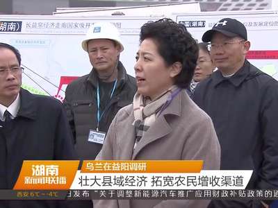 乌兰在益阳调研 壮大县域经济 拓宽农民增收渠道