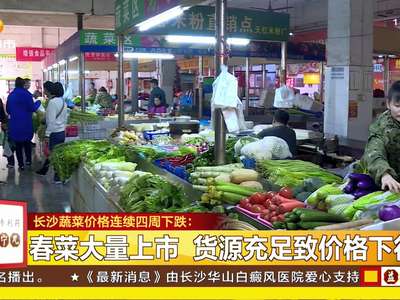 香椿价格赛牛肉 一月内跌幅过半