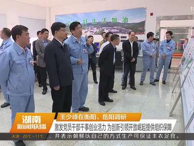 王少峰在衡阳、岳阳调研 激发党员干部干事创业活力 为创新引领开放崛起提供组织保障
