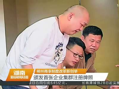 郴州商事制度改革新创举 颁发首张企业集群注册牌照