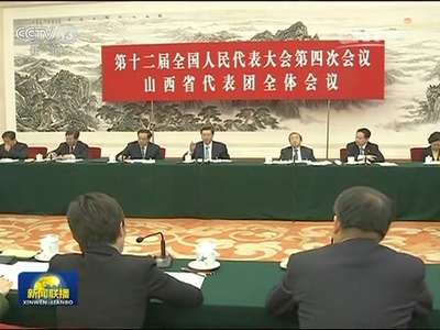 [视频]张德江参加山西代表团审议