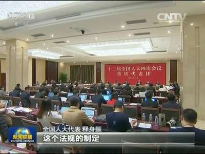[视频]【代表委员议国是】坚持立法先行 以良法推动善治