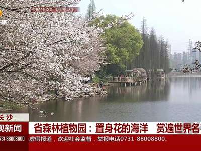 省森林植物园：置身花的海洋 赏遍世界名花