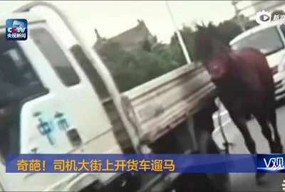 [视频]实拍司机开货车当街遛马 自称给马锻炼身体