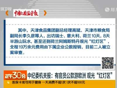 [视频]中纪委机关报：有官员公款游欧洲观光“红灯区“