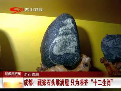 [视频]成都：藏家石头堆满屋 只为凑齐“十二生肖”