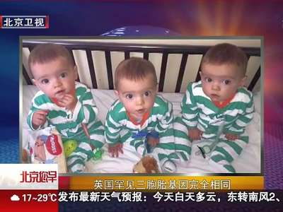 [视频]英国一位妈妈晒同卵三胞胎 概率为两亿分之一