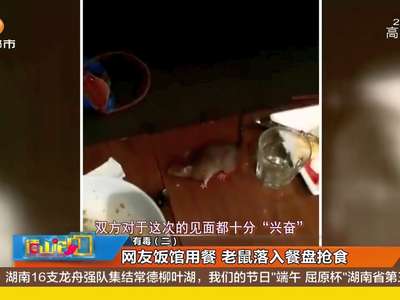 [视频]网友饭馆用餐 老鼠落入餐盘抢食