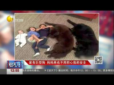 [视频]妈妈再也不担心我的安全 家有暖心巨型狗