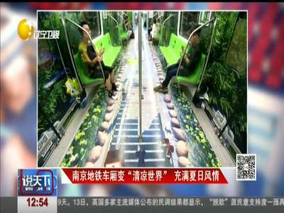 [视频]走入清凉世界！南京地铁车厢变身充满夏日风情