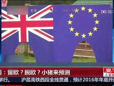 [视频]英国：脱欧？留欧？小猪来预测