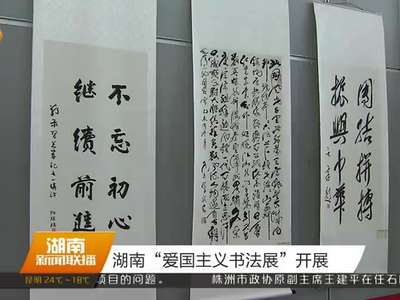 湖南“爱国主义书法展”开展