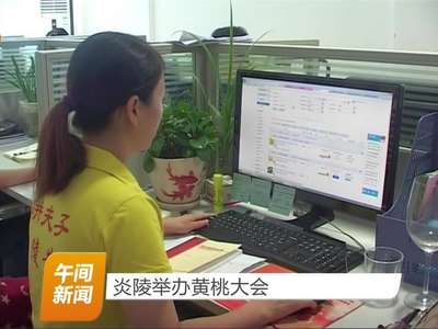 炎陵举办黄桃大会