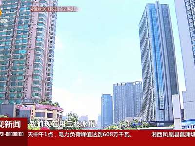 城市中心区域直逼40℃ 16分钟冰棍变“光棍”