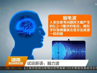 试说新语：脑力波