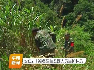 安仁：199名建档贫困人员当护林员