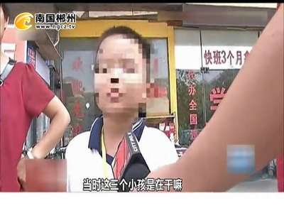 郴州：疑似开车看手机 深圳女司机撞倒三名孩子