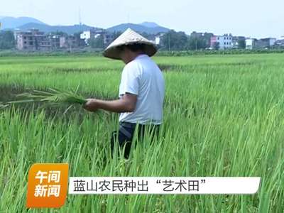 蓝山农民种出“艺术田”
