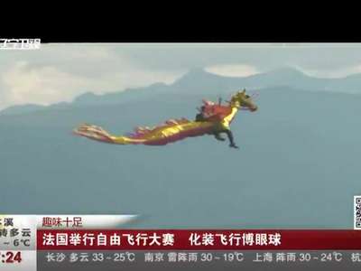 [视频]法国举行自由飞行大赛 化装飞行博眼球