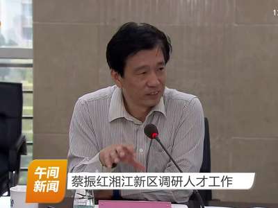 蔡振红湘江新区调研人才工作