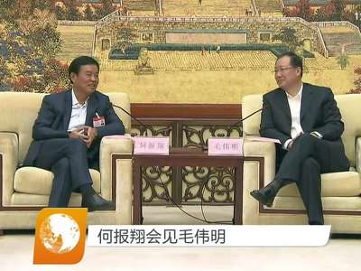 何报翔会见毛伟明