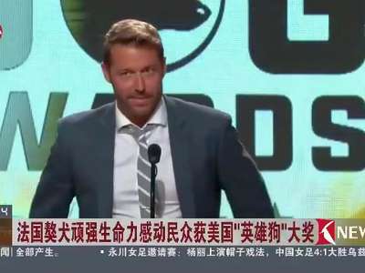 [视频]法国獒犬顽强生命力感动民众获美国“英雄狗”大奖