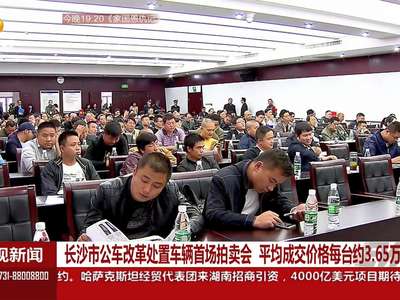 长沙市公车改革处置车辆首场拍卖会 平均成交价每台约3.65万