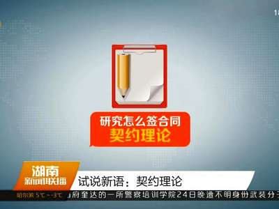 试说新语：契约理论