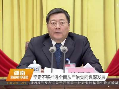 中共湖南省委十届二十次全体（扩大）会议在长沙举行