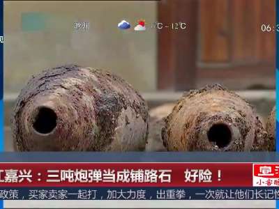 [视频]浙江嘉兴：三吨炮弹当成铺路石 好险！