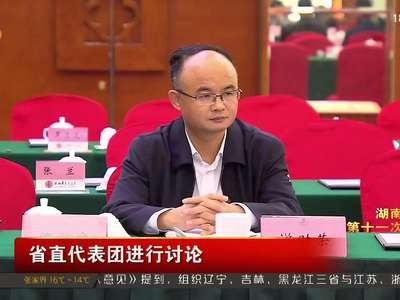 省直代表团进行讨论