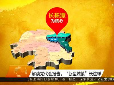 解读党代会报告：“新型城镇”长这样