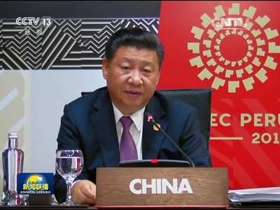 [视频]习近平出席亚太经合组织第二十四次领导人非正式会议并发表重要讲话 强调面向未来开拓进取 共同绘制亚太合作的宏伟画卷