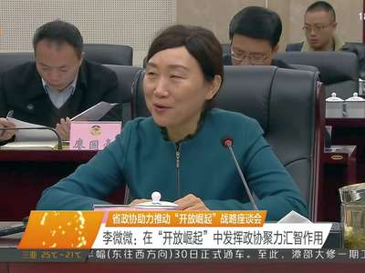 省政协助力推动“开放崛起”战略座谈会 李微微：在“开放崛起”中发挥政协聚力汇智作用